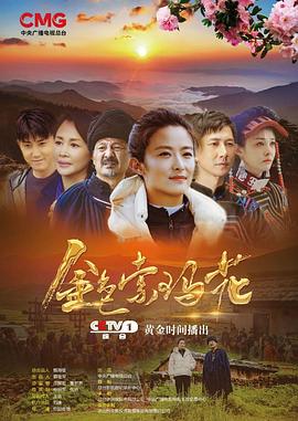 金色索玛花(2020) 第12集